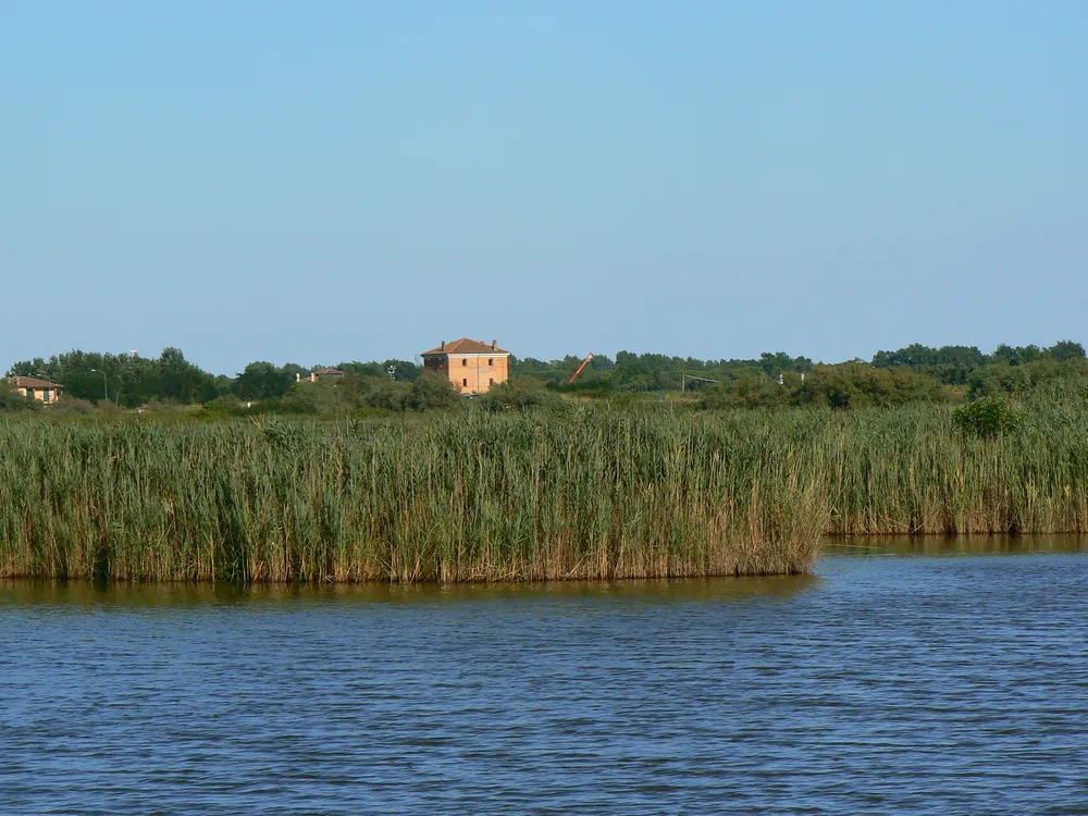 Canneto e specchio d'acqua nel Delta del Po