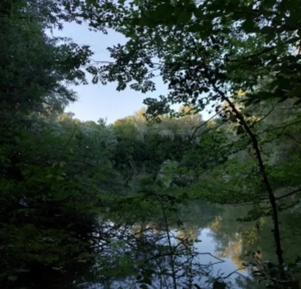 Sentiero nel Bosco Spada